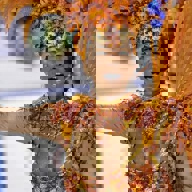 G.R.E.S Alegria da Zona Sul