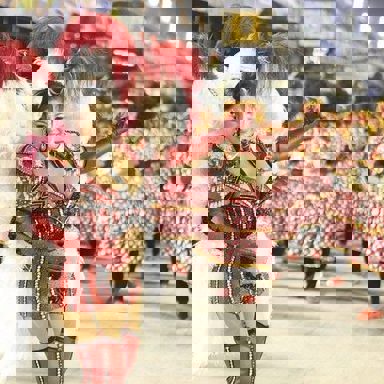 G.R.E.S Alegria da Zona Sul photo 19