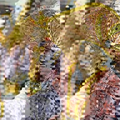 G.R.E.S Alegria da Zona Sul photo 13