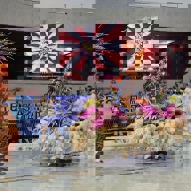 G.R.E.S Alegria da Zona Sul photo 14