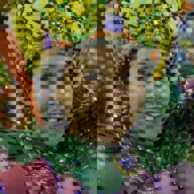 G.R.E.S Alegria da Zona Sul photo 15