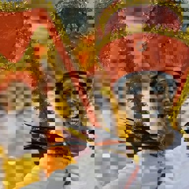 G.R.E.S Alegria da Zona Sul photo 9