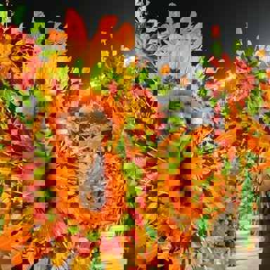 G.R.C.S.E.S. Unidos do Peruche