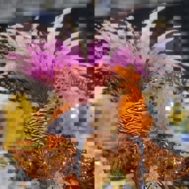 G.R.E.S Alegria da Zona Sul photo 12