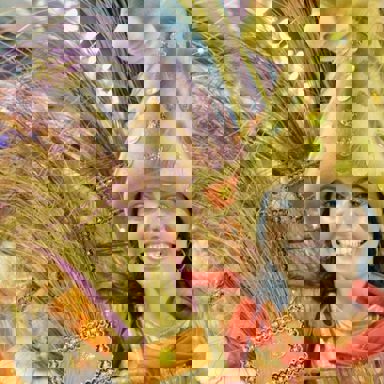 G.R.E.S Alegria da Zona Sul