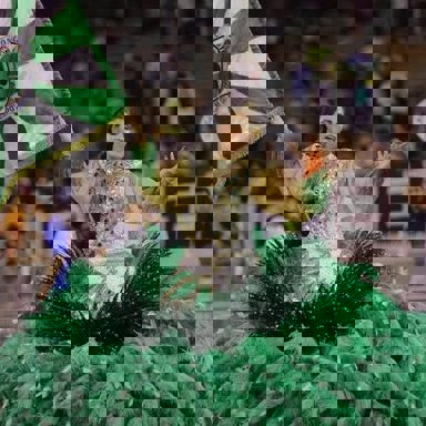 G.R.E.S Amizade Zona Leste