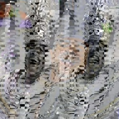 G.R.E.S Alegria da Zona Sul