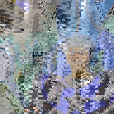 G.R.E.S Alegria da Zona Sul photo 16