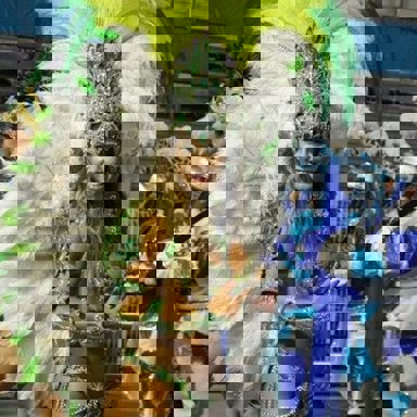 G.R.C.S.E.S. Unidos do Peruche