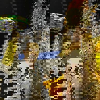 G.R.C.S.E.S. Unidos do Peruche