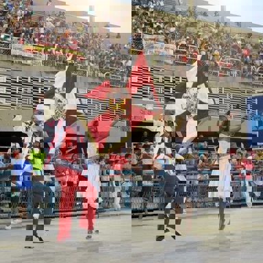 G.R.E.S Alegria da Zona Sul photo 20