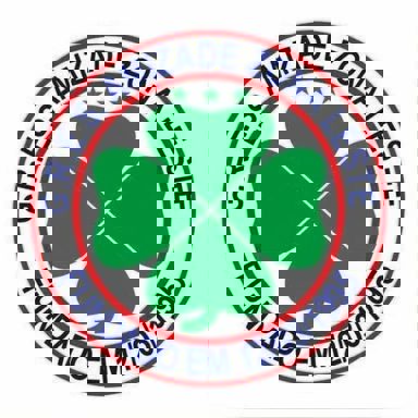 G.R.E.S Amizade Zona Leste