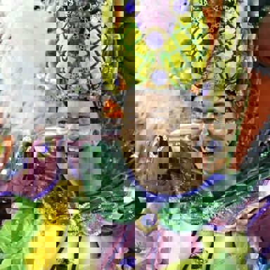 G.R.E.S Alegria da Zona Sul