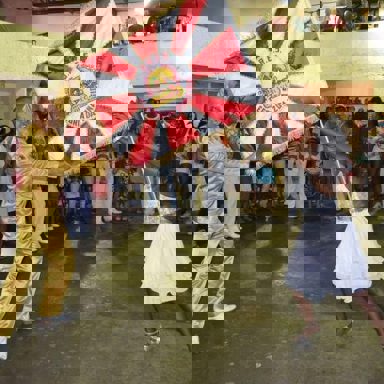 G.R.E.S Alegria da Zona Sul