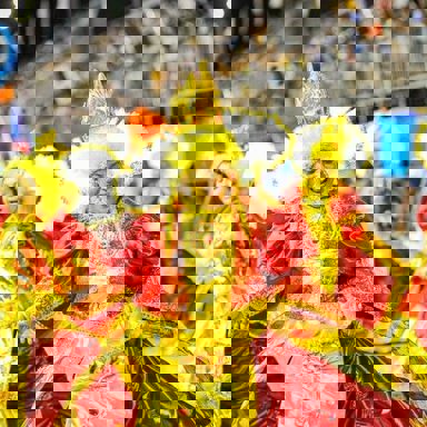 G.R.E.S Pega No Samba