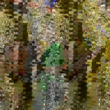 G.R.E.S Renascer de Jacarepaguá (RJ)