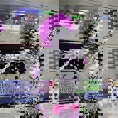 G.R.E.S Renascer de Jacarepaguá (RJ) photo 15