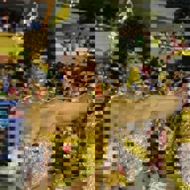 G.R.E.S Porto da Pedra (RJ)