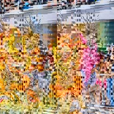 G.R.E.S Independente de Boa Vista