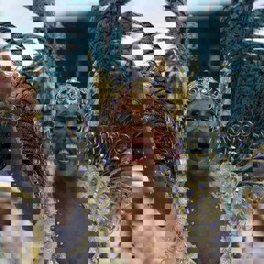 G.R.E.S Pérola Negra (SP) photo 12