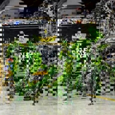 G.R.E.S Pega No Samba photo 9