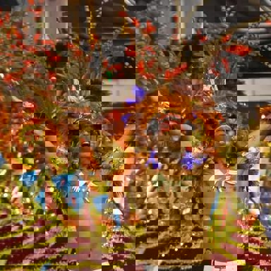 G.R.E.S Pérola Negra (SP) photo 16