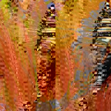 G.R.E.S Renascer de Jacarepaguá (RJ) photo 11