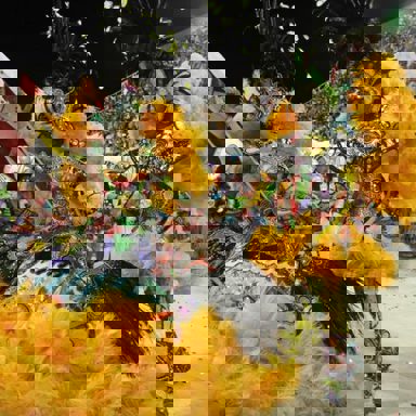 G.R.E.S Renascer de Jacarepaguá (RJ) photo 19