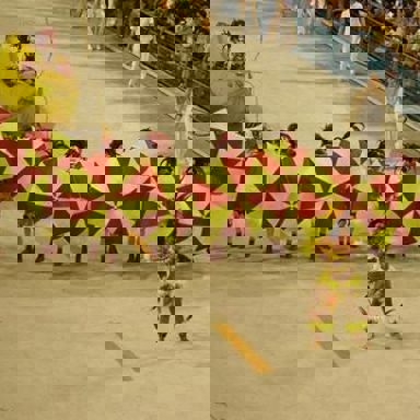 G.R.E.S Renascer de Jacarepaguá (RJ) photo 16