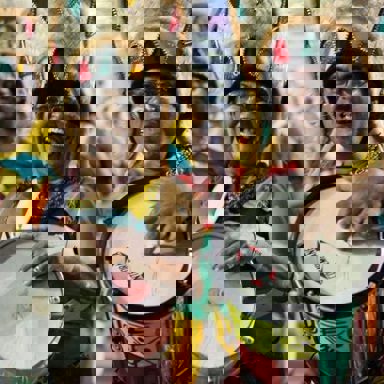 G.R.E.S Independente de Boa Vista