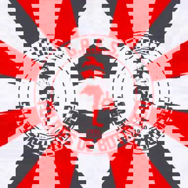 G.R.E.S Foliões de Botafogo