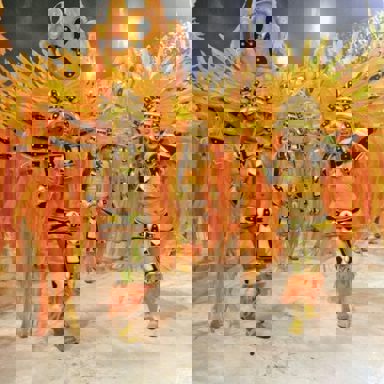 G.R.E.S Renascer de Jacarepaguá (RJ) photo 14