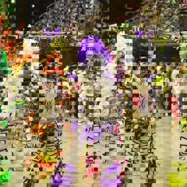 G.R.E.S Renascer de Jacarepaguá (RJ) photo 17