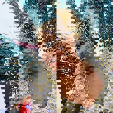 G.R.E.S Pérola Negra (SP) photo 9