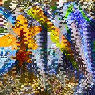 G.R.E.S. Beija-Flor de Nilópolis (RJ) photo 18