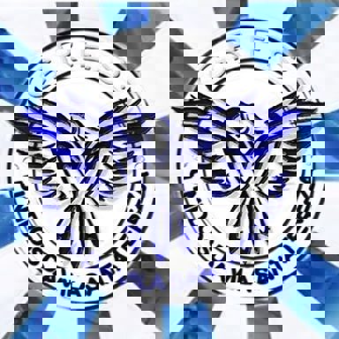 G.R.E.S Unidos da Vila Santa Tereza