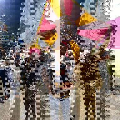 G.R.E.S União do Parque Acari