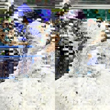 G.R.E.S. Beija-Flor de Nilópolis (RJ)