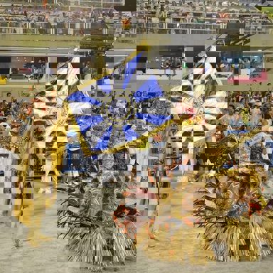 G.R.E.S Unidos da Vila Santa Tereza