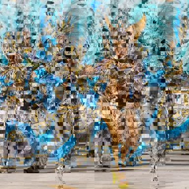 G.R.E.S. Beija-Flor de Nilópolis (RJ) photo 15