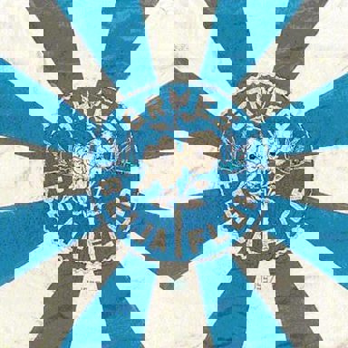 G.R.E.S. Beija-Flor de Nilópolis (RJ) photo 17