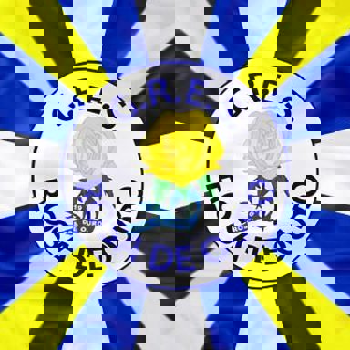 G.R.E.S Rosa de Ouro