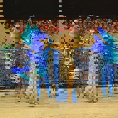 G.R.E.S. Beija-Flor de Nilópolis (RJ)