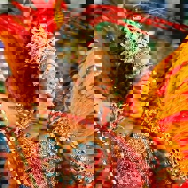 G.R.E.S. Beija-Flor de Nilópolis (RJ)