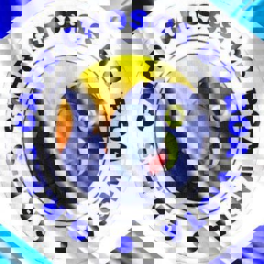 G.R.E.S.V Caprichosos do Boa Vista