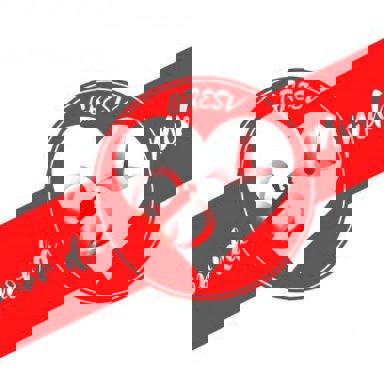 G.R.E.S.V O Amor da Minha Vida