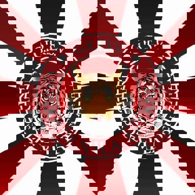 G.R.E.S.V. Unidos de Vila Betânia