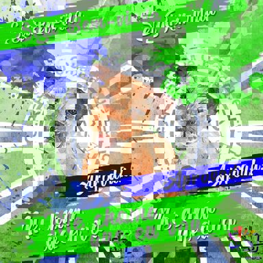 G.R.E.S.V. Me Chama Que Eu Vou