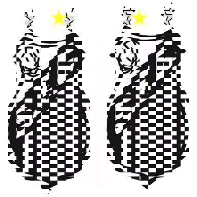 GRCES Torcida Jovem do Santos FC