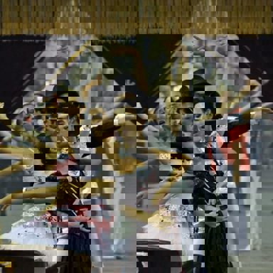 GRES Boi da Ilha do Governador photo 19